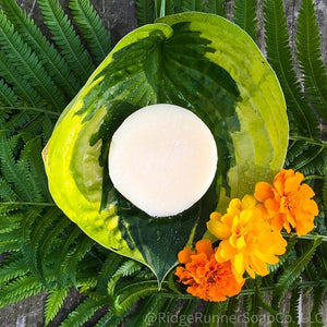 Shampoo Bars