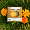 Shampoo Bars
