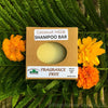 Shampoo Bars