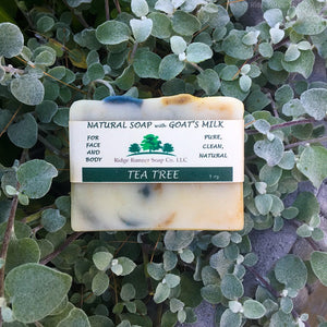 Bar Soap