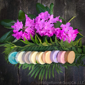 Shampoo Bars
