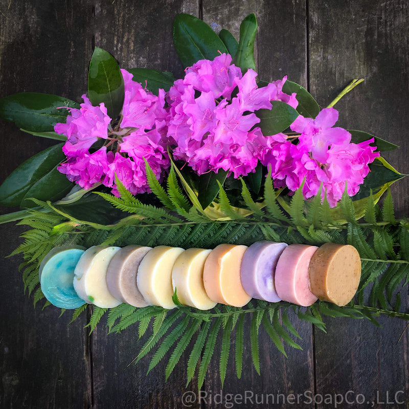 Shampoo Bars