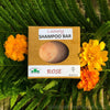 Shampoo Bars